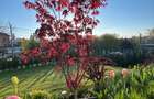 Vila de lux,zona premium,finisaje high-end - 2