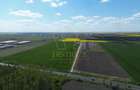 COM 0% Teren industrial pretabil hale, servicii | DN69 Sanandrei - 2