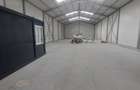 Ovidiu, parc industrial, constructie 2025, 120-1160 mp. - 12
