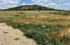 Teren de vanzare zona Betfia - 2