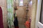 Apartament la casa de vanzare zona Boul Rosu - 17