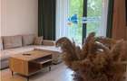 Inchiriere aparatament 2 camere mobilat parter gradina Greenfield - 2