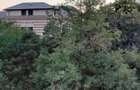APARTAMENT 3 CAMERE SPLAIUL UNIRII-CAMERA DE COMERT - 10