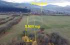 Teren 5.800 mp Purcareni curent, gaz, apă / Strada 30 decembrie - 2