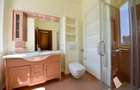 For renting 7 rooms penthouse, Herastrau Park, UNIQUE! - 9