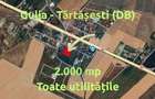 Ocazie! Teren Gulia-Tărtășești | 2.000 mp | Deschidere 40m | Utilități - 2
