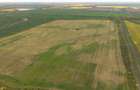 Teren investițional strategic 44.700 mp Arad Vest - 8