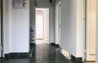 Vila 8 cam. bd. Timisoara stradal-oportunitate comerciala si rezidentiala unica - 16