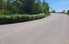 Teren 2500 mp la intrare in Eforie Nord - 2
