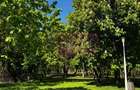 Apartament 3 camere, la parc IOR - 12