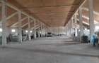 Hala in Independenta - 4
