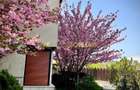 Casa de Vanzare | 6 Camere | Baneasa | Centrala | Parcare | Curte - 15