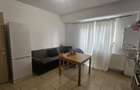 Amurgului La Strada apartament 2 camere tip studio cu gradina. - 7