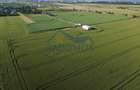 TEREN INTRAVILAN 10.000 MP – PLOIEȘTI VEST - CARTIER MITICĂ APOSTOL - 3