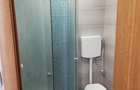 Dristor, garsoniera, CENTRALA PROPRIE, 350 euro, metrou 6 min, PET FRIENDLY - 7