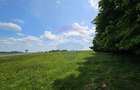 Teren Ilisesti  7000mp extravilan/ DN 17, Suceava - 11