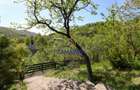 Vila vedere panoramica de vânzare - investitie - Provita de Jos, Prahova - 19