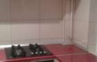 Apartament 1 camera, decomandat, mobilat, rond / piata Alexandru - 6