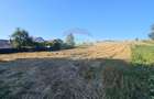 Teren intravilan, 7500 mp in Moara Carp / Strada Eternitatii-Suceava - 5