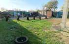 Casa P+M, constructie 2023, boltari, LA ROSU, Chiscani - 5
