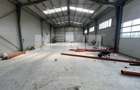 Hala de Inchiriat | 160MP | Curent Trifazat - 4