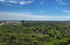 2 Camere Premium cu vedere către Delta Văcărești| Parcare Inclusa - 9