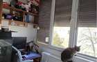 Apartament cu Centrala Sagului Kaufland - 9