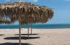 Studio cu vedere la mare | AXXIS | Mamaia Nord - 1
