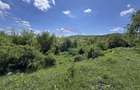 DOMENIU EXCLUSIVIST DE VANZARE – URLATI, PRAHOVA - 5