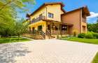Casa individuala de vanzare in Faget 360mp cu teren de 1100 mp - 1