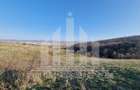 Teren intravilan | De vanzare | 1808 mp | 18 ml deschidere | Seigau - 4