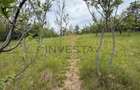 Teren cu autorizatie pentru 1 duplex. - 5