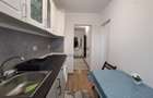 Ap 2 camere renovat, prima inchiriere, Parcul Dr Taberei - 9