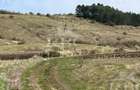 Teren in suprafata de 6300 mp extravilan in Garbau - 8