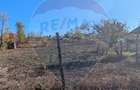 Teren 1,200mp Perieni / Drumul poiana sat - 3