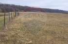 Teren 2925 mp comuna Mitocu Dragomirnei - 19