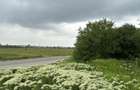 Terenul dintre 2 lacuri – 1000 mp în Mogoșoaia, la 5 minute de pădure - 14