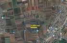 Teren Extravilan 5.000 mp Tarlungeni / Strada Zizinului - 2