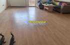 Spatiu Comercial + Apartament in Alba Iulia, Zona Cetate Kaufland - 16