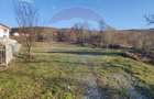 Teren de vanzare in Faget! 3600 MP! PUZ Aprobat! - 4