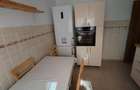 Vanzare apartament luminos de 2 camere, Titan, Gura Siriului-parcare inclusa - 10