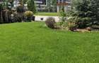 Apartament 1 camera Etaj 1 Comision 0% - 6