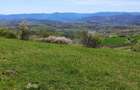 Casă în locație exclusivă, cu vedere spectaculoasă la Dunăre și 6 hectare  - 11