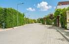 AMBER GARDENS - CASA PASIVA 135 MP, LOT 450 MP, LA CHEIE! - 16