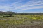Teren Corbeanca – Balotești, 35.000 mp, lângă pădure și nodul rutier A0. - 3