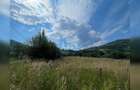 Teren cu potențial turistic, cadru natural rar, 20.000 mp  Sacuieu - 8