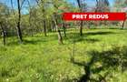 Teren intravilan, Comuna Corbi, Jud. Argeș, toarte utilitatile - 1