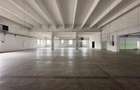 Hala/ spatiu comercial Pascani, 1500mp - 6