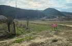 Proprietar Teren 1250 m2, Comuna Vernesti , Sat Candesti , jud Buzau - 3
