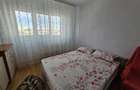Brancoveanu-Izvorul Oltului, apartament mobilat si utilat modern, bloc reabilita - 12